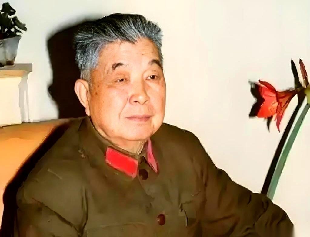 “嫂子！老刘这满身的军功章，有一半是你的！”
说这话的，是一身戎装的女干部。
听