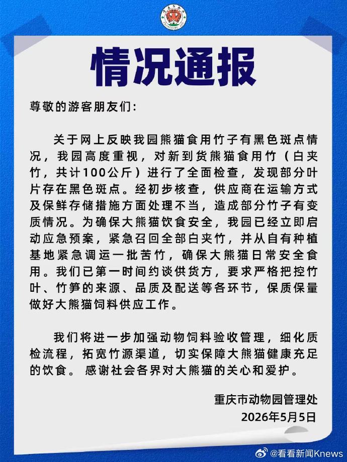 【#重庆动物园通报熊猫竹子现黑斑#】#重庆动物园紧急召回全部变质竹#5月5日深夜