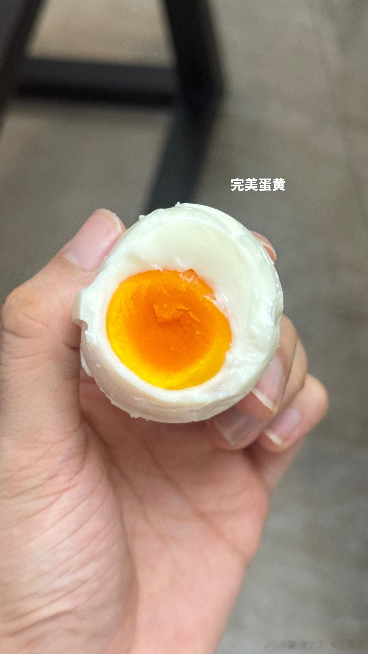 刘小小一家plog 