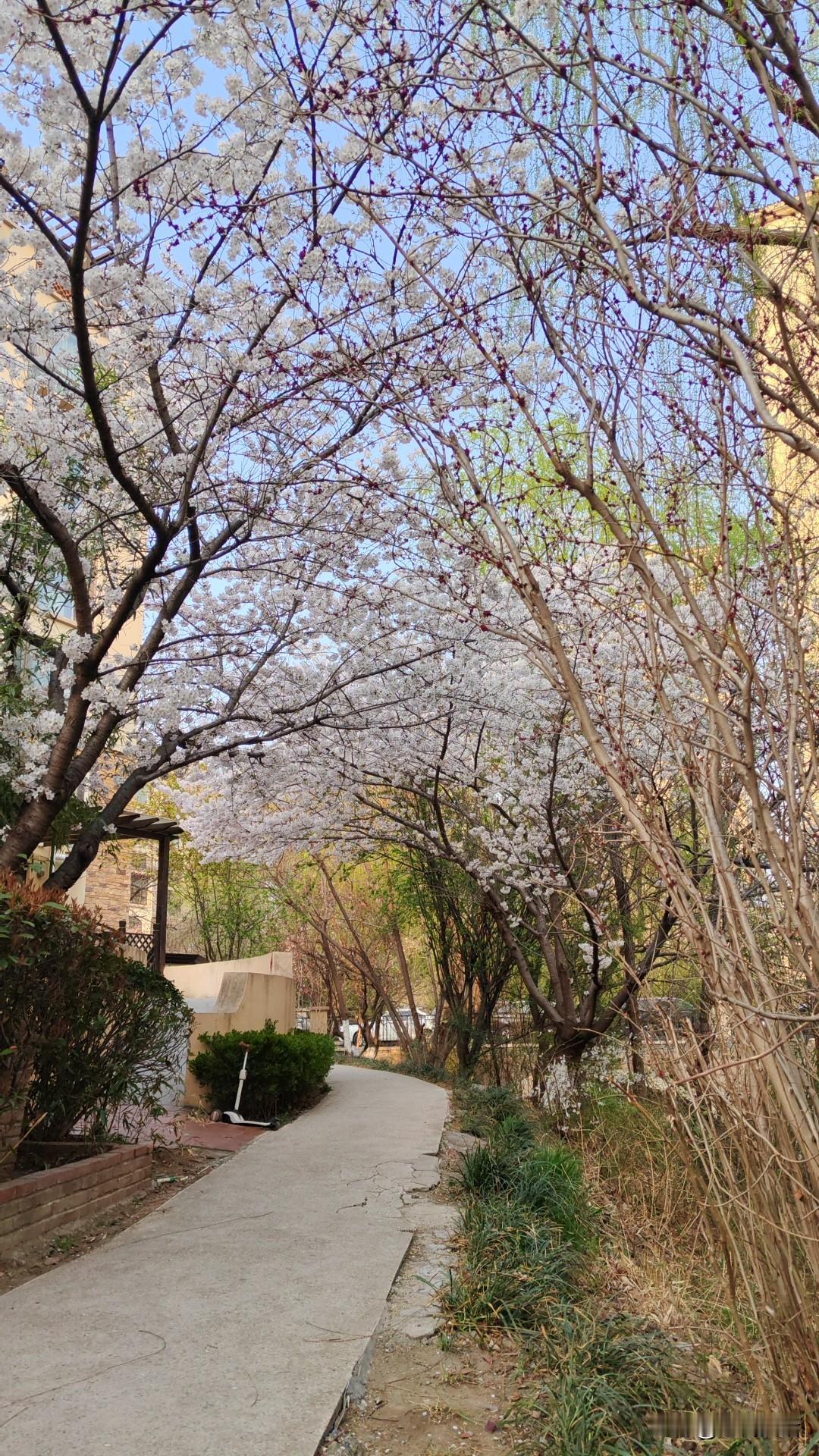 即墨方言里的生僻字：裌袄

裌袄：裌，读音夹，意思是夹衣、有夹层的衣服，简化字已