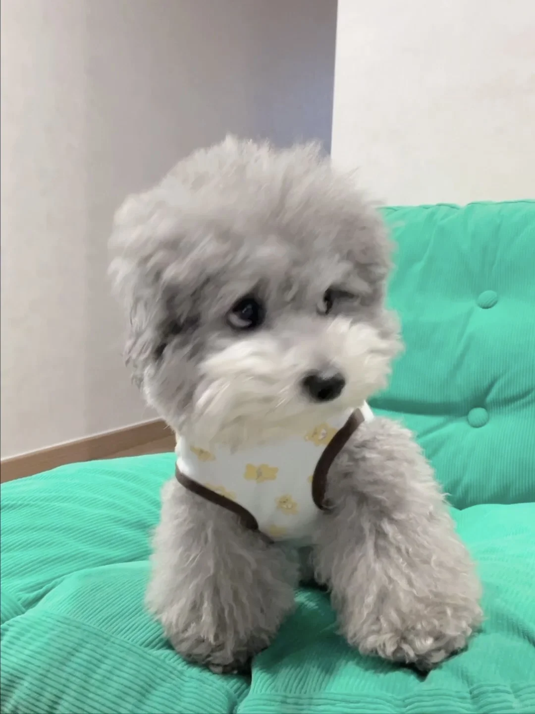 人  你理理我