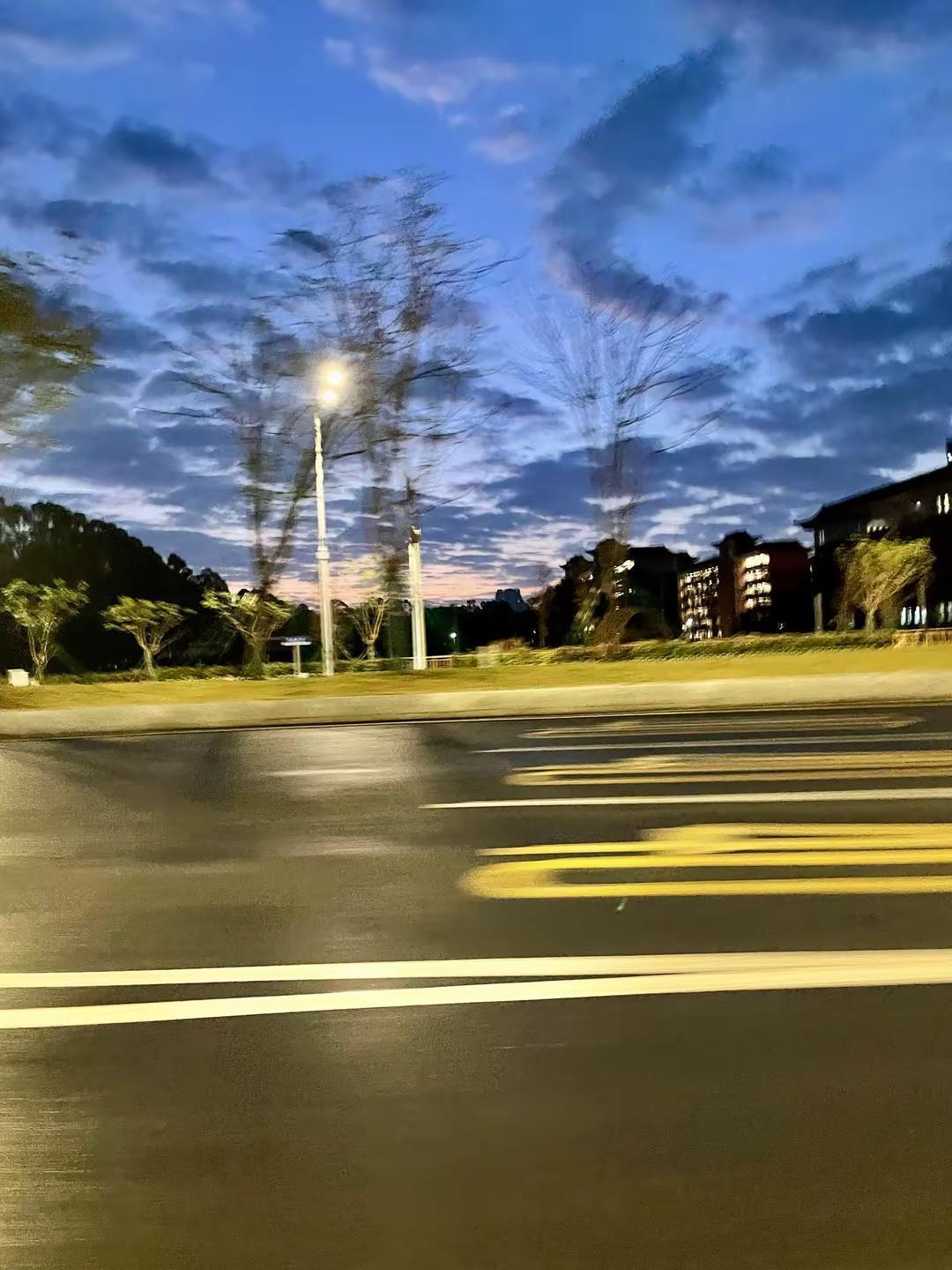 你的绝情让我学会了坚强