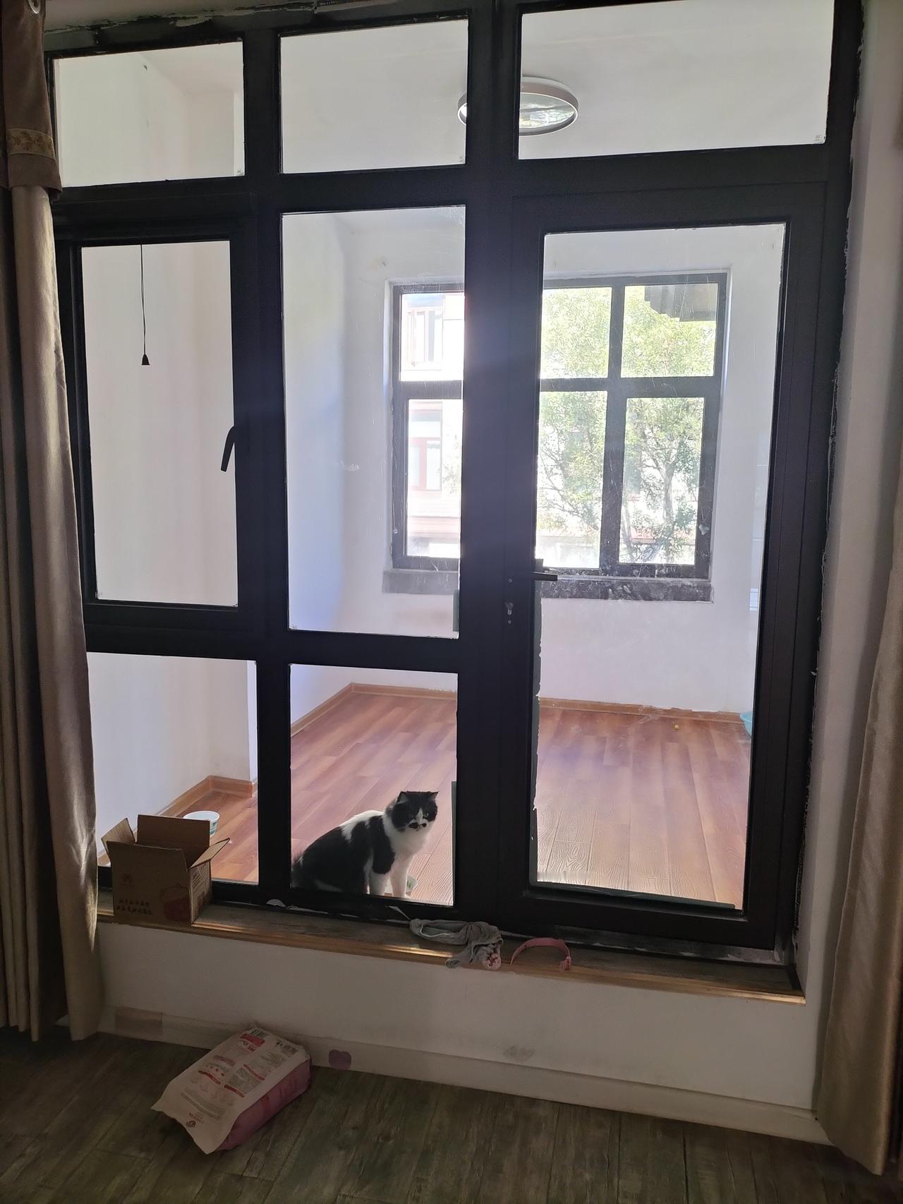 我家养的奶牛猫，单独拥有一间25平方米的卧室。每一个养猫的人都应该买一套大别墅，