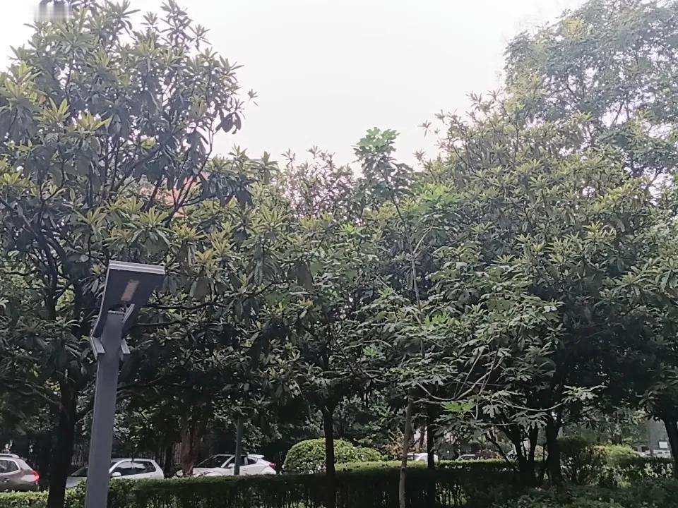 炒股的三个境界：
第一层（入市三年以内）：
标签：大鹏一日同风起，扶摇直上九万里