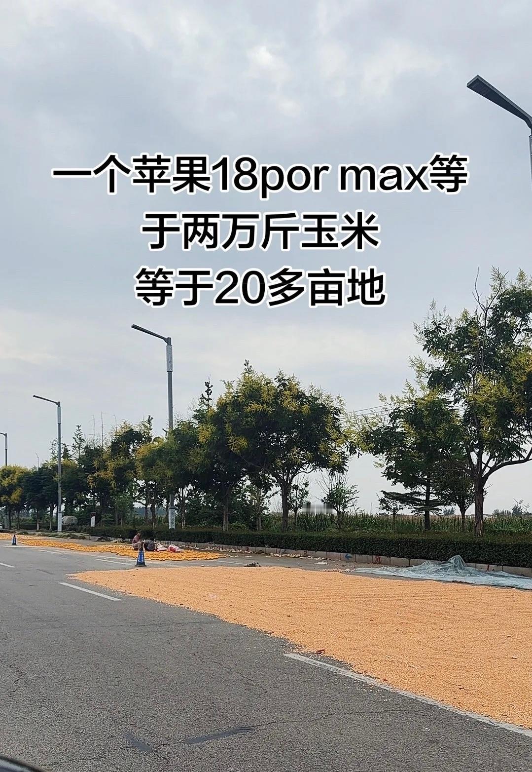 一个苹果18por max等于两万斤玉米相当于20多亩地，农民太不容易了网友求送