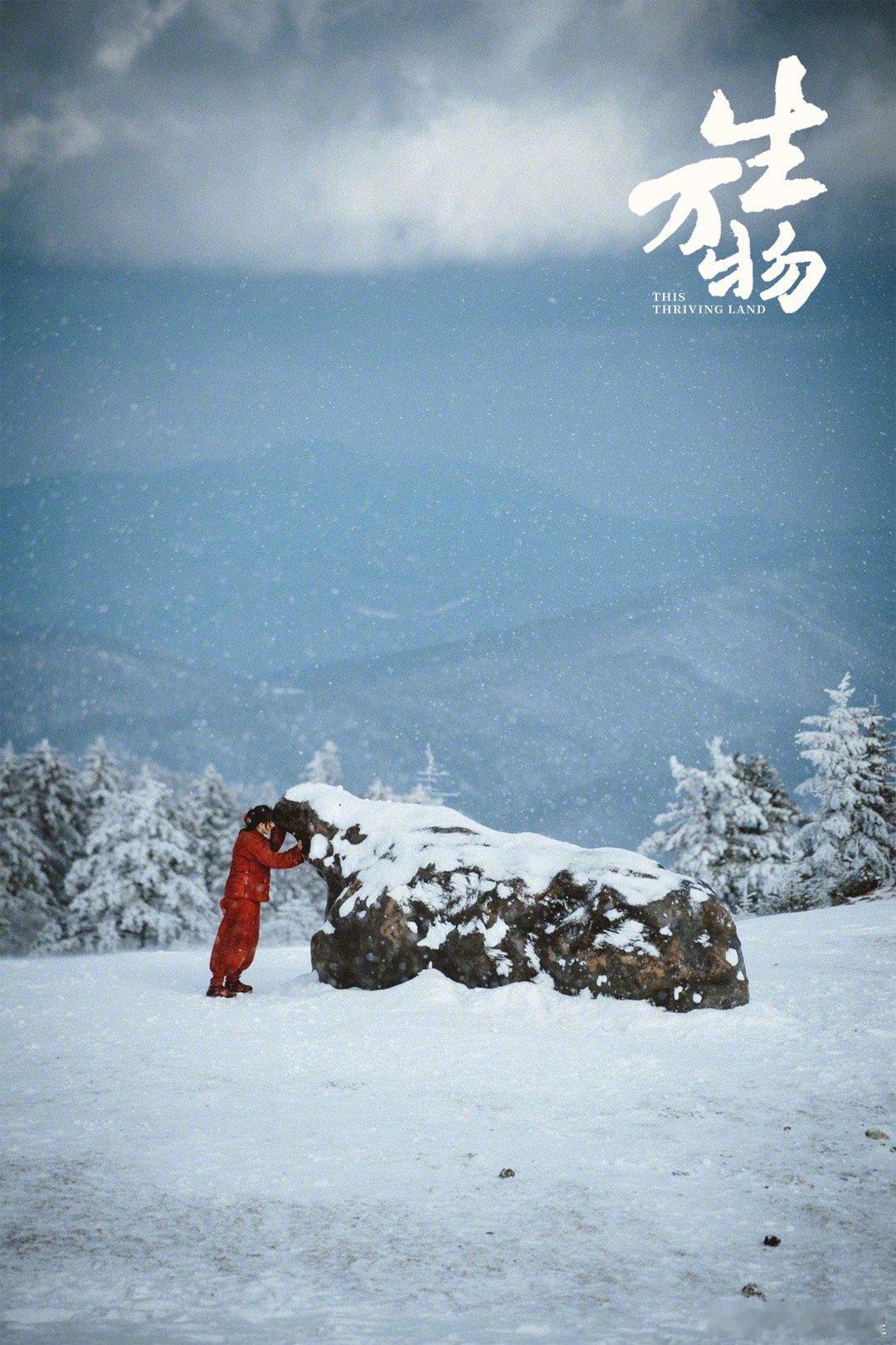 杨幂雪地红袄剧照  不敢认 这竟然是杨幂 