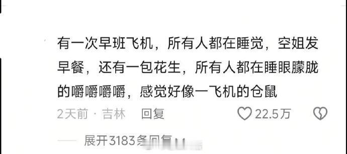 换个视角看人类感觉好可爱呀 