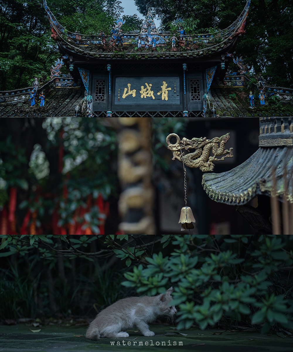 问道青城山 ​​​