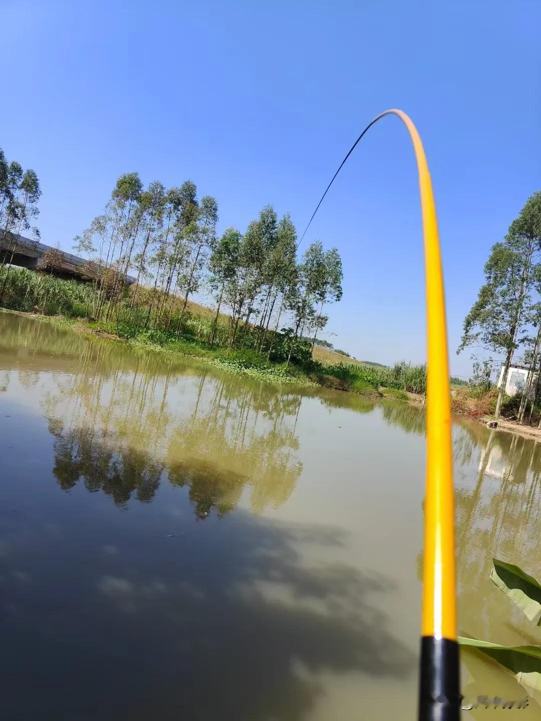 #一张图记录秋日生活#重阳节一过有种人生过半，夕阳将至的感觉。秋的气息愈发浓厚，