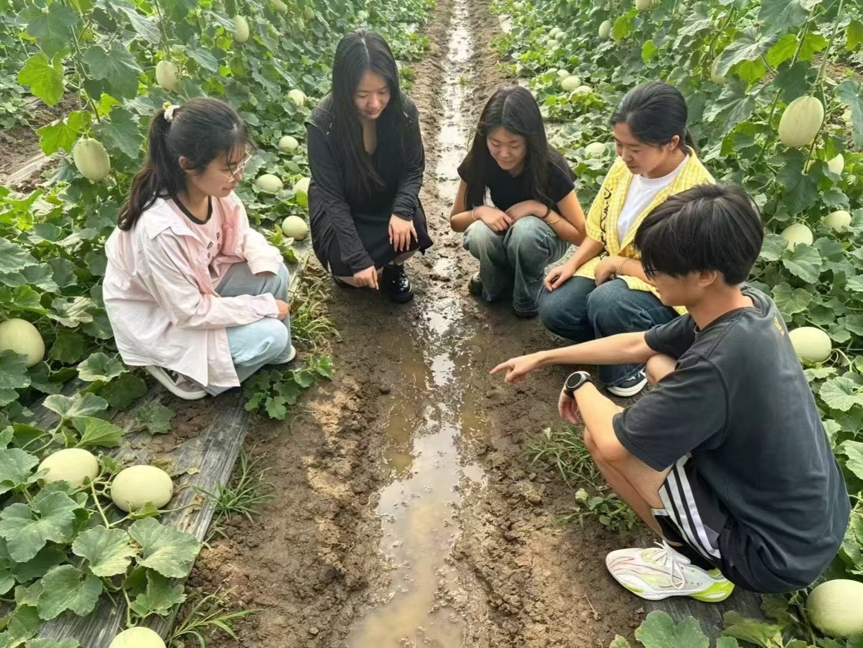 曲阜师范大学［超话］大学生暑假社会实践【搭建云端市集，链接田间地头】乡村振兴战略