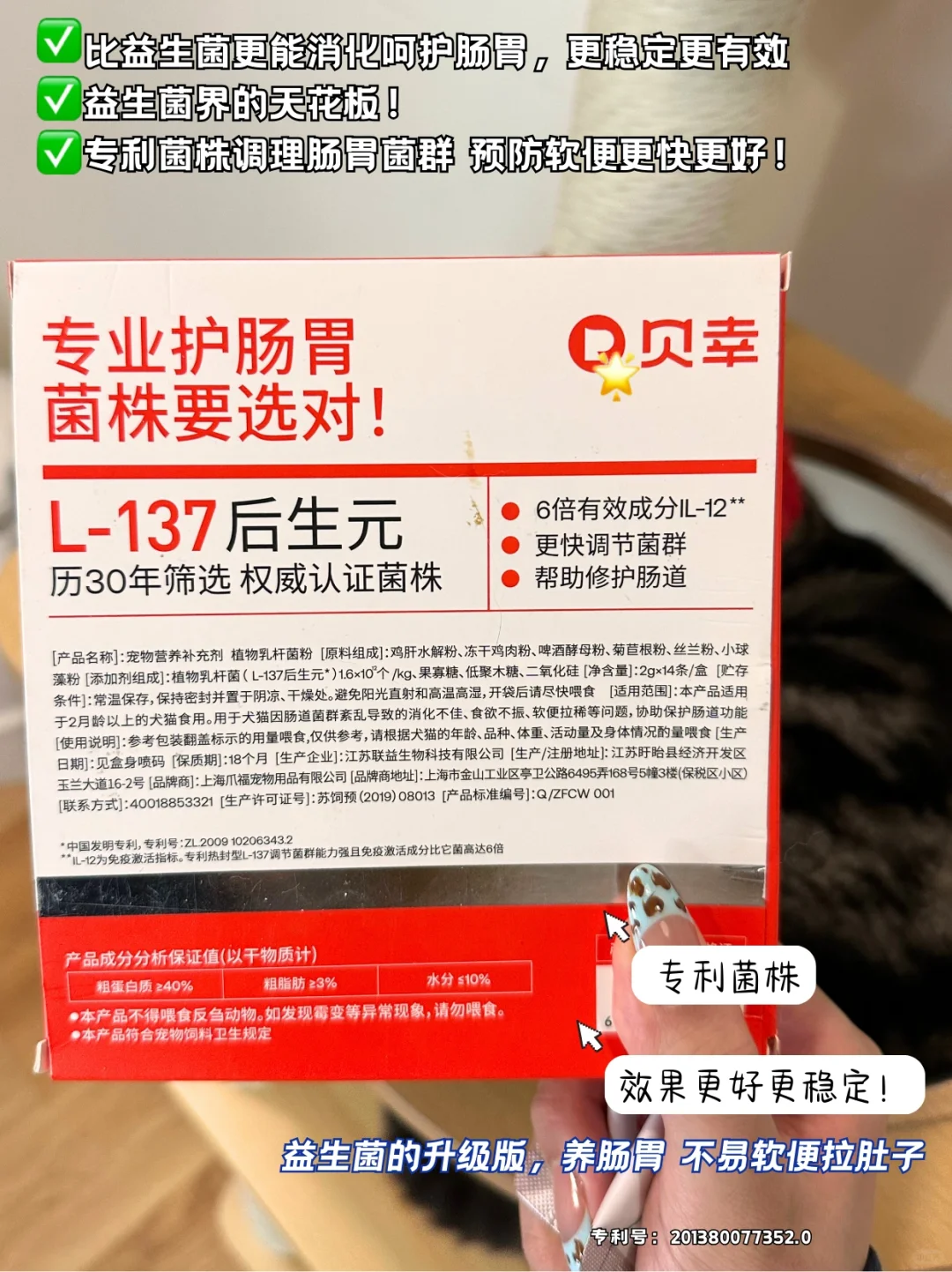 软便拉稀❌get猫咪肠胃护理✅和玻璃胃拜拜