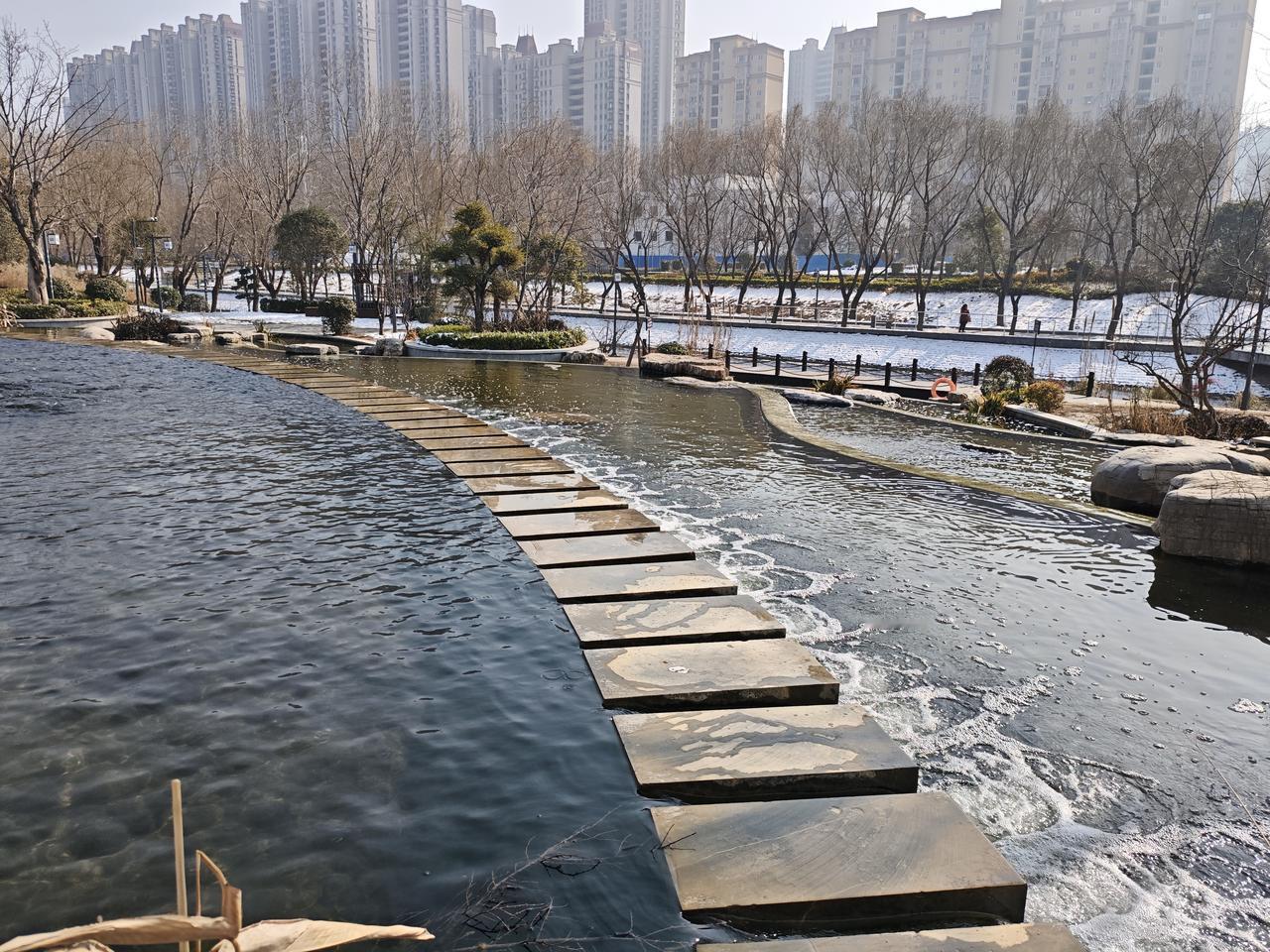 记录我的2026今天逛了逛公园，晒着暖融融的太阳，吹吹轻柔的风，走走停停看眼前的