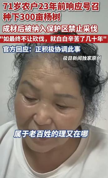 黑龙江，71岁农户23年前响应号召种下300亩杨树，成材后却被纳入保护区禁止采伐