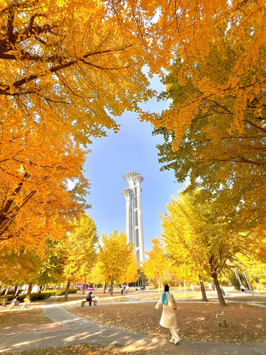 10.24实拍live图，奥森秋景已达最佳❗️附地图
