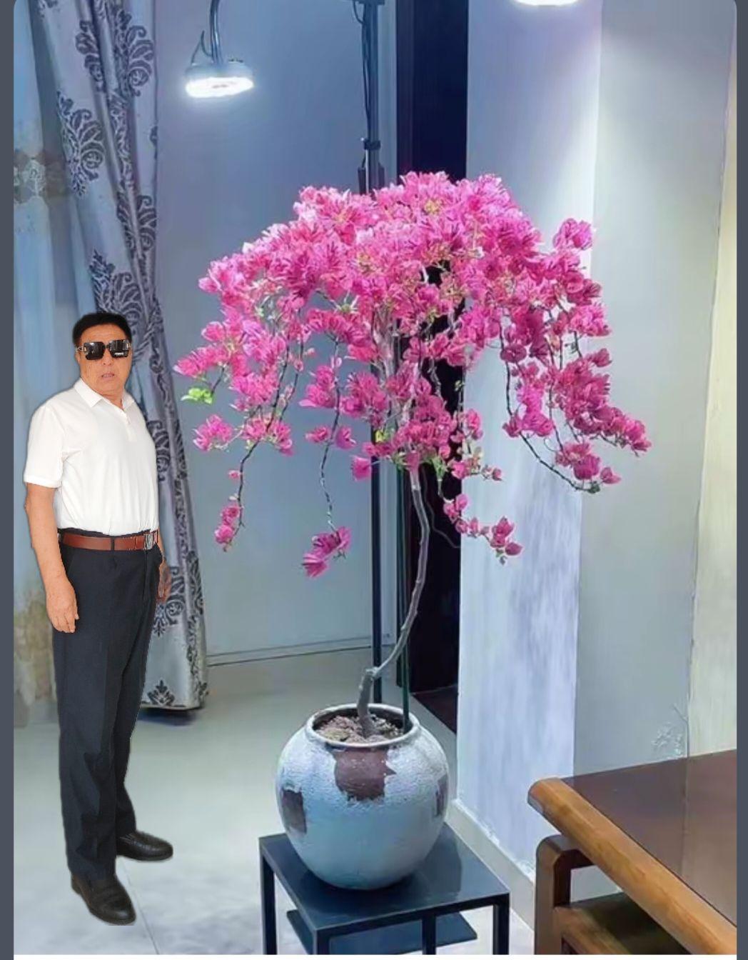 情感歌曲分享大家