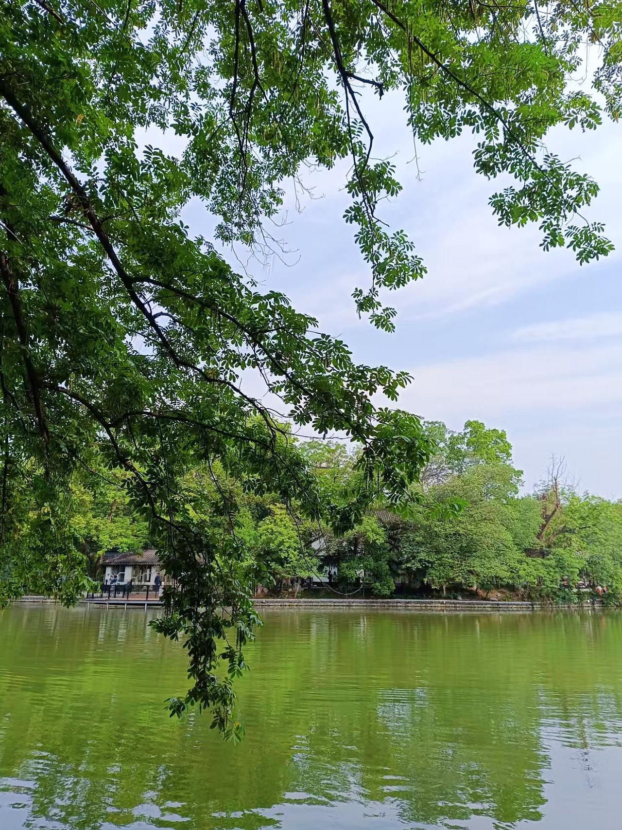 对岸的风景永远更好看