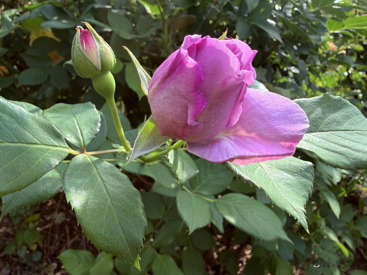 【小对联】
上：半条命；
下：……？