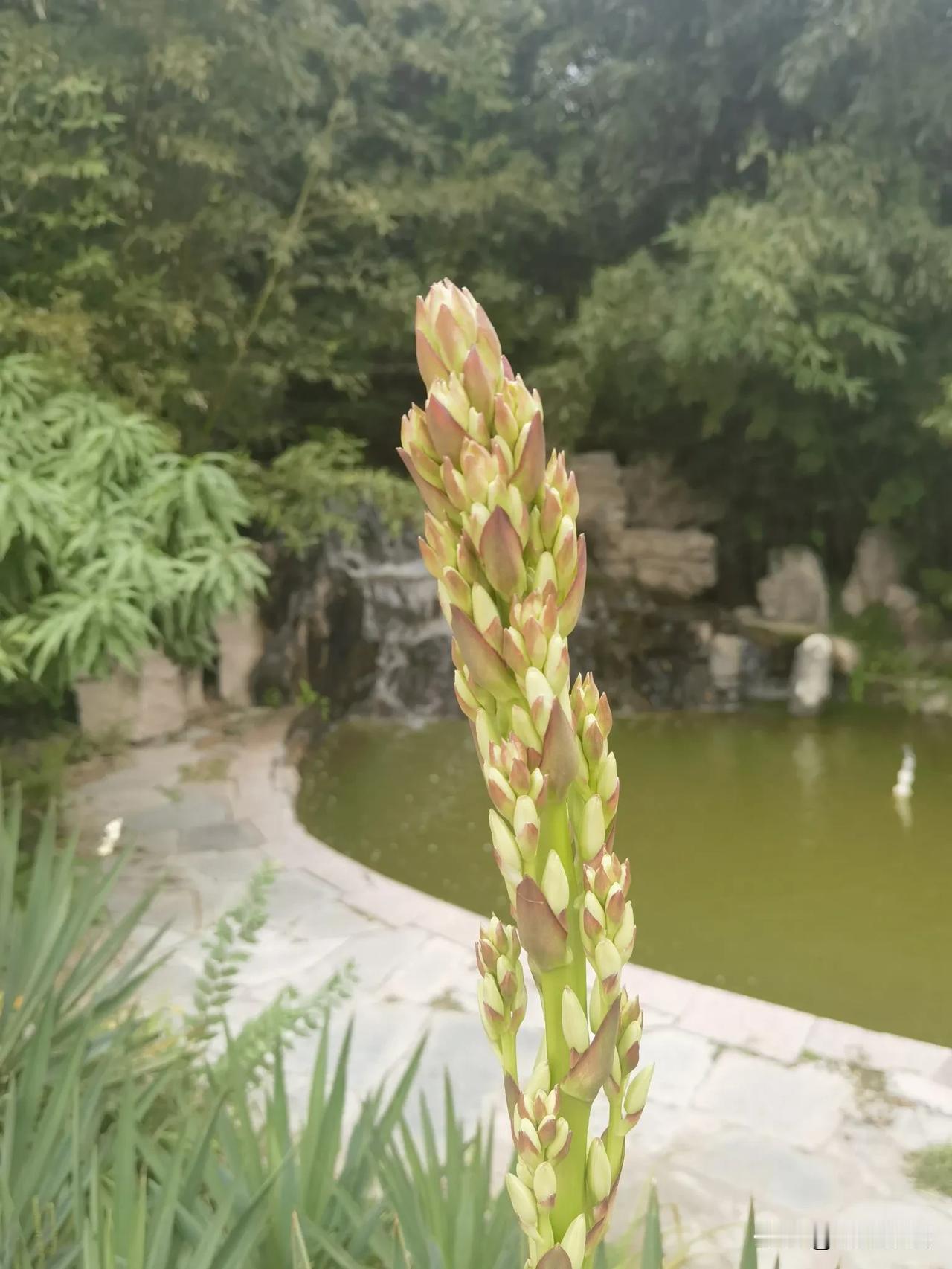 #秋日生活打卡季#有个好习惯是多么重要！[比心]

我平时的习惯还不错，特别是那