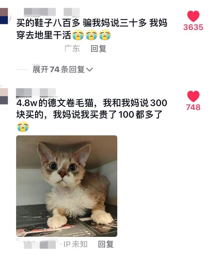 对父母虚报价格最狠的一次 ​​​