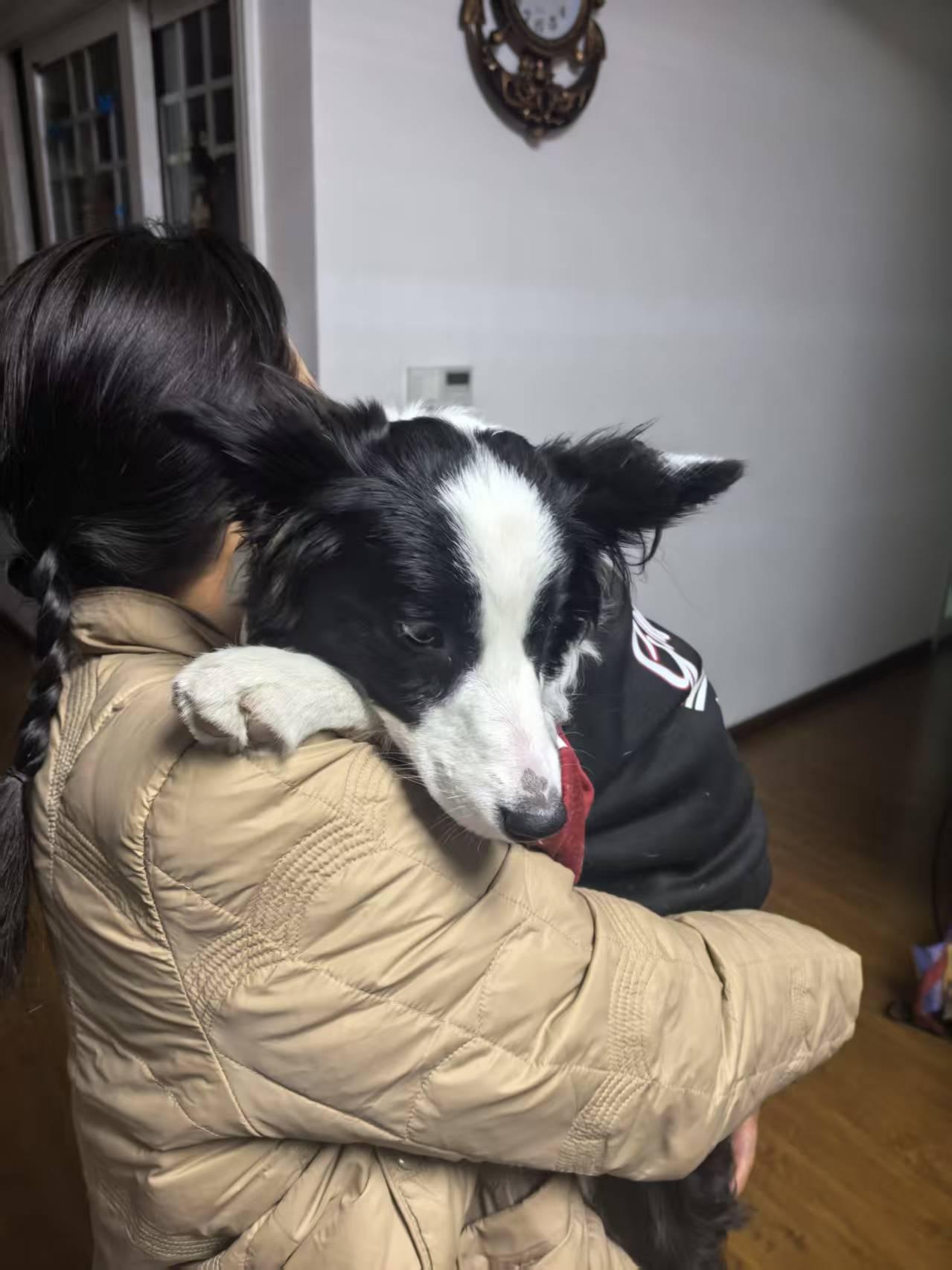 生病了的毛孩子途途，也爱粘人呢。

前天带毛孩子途途在楼下遛弯跑步，玩的可兴奋了