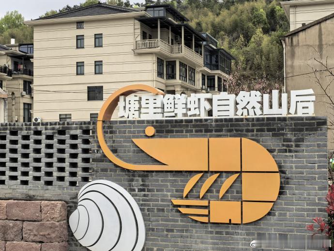 台州三门串起文旅产业链念通海岛共富经 从“一处美”到“一片美”！蛇蟠乡各村村村有