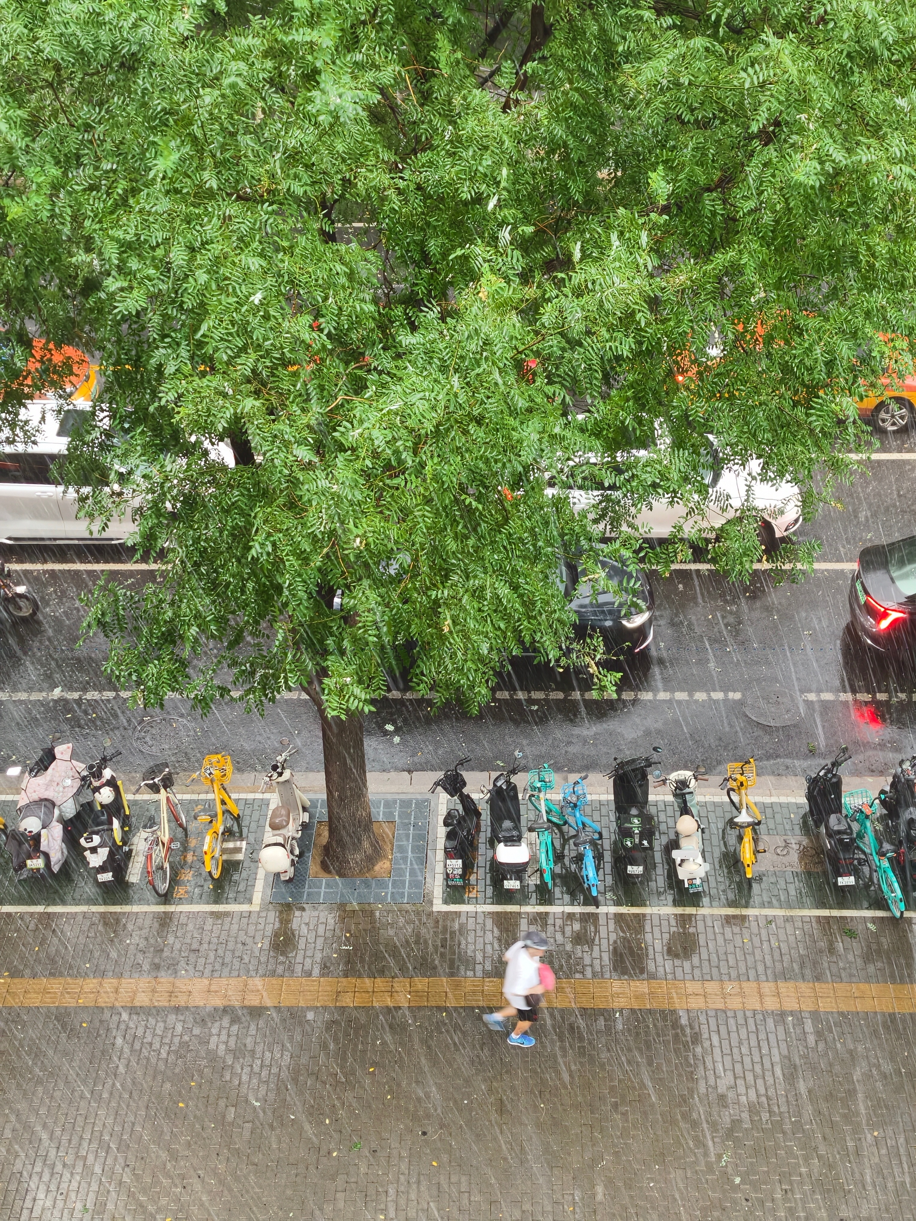 北京暴雨 这雨下的好急 ​​​