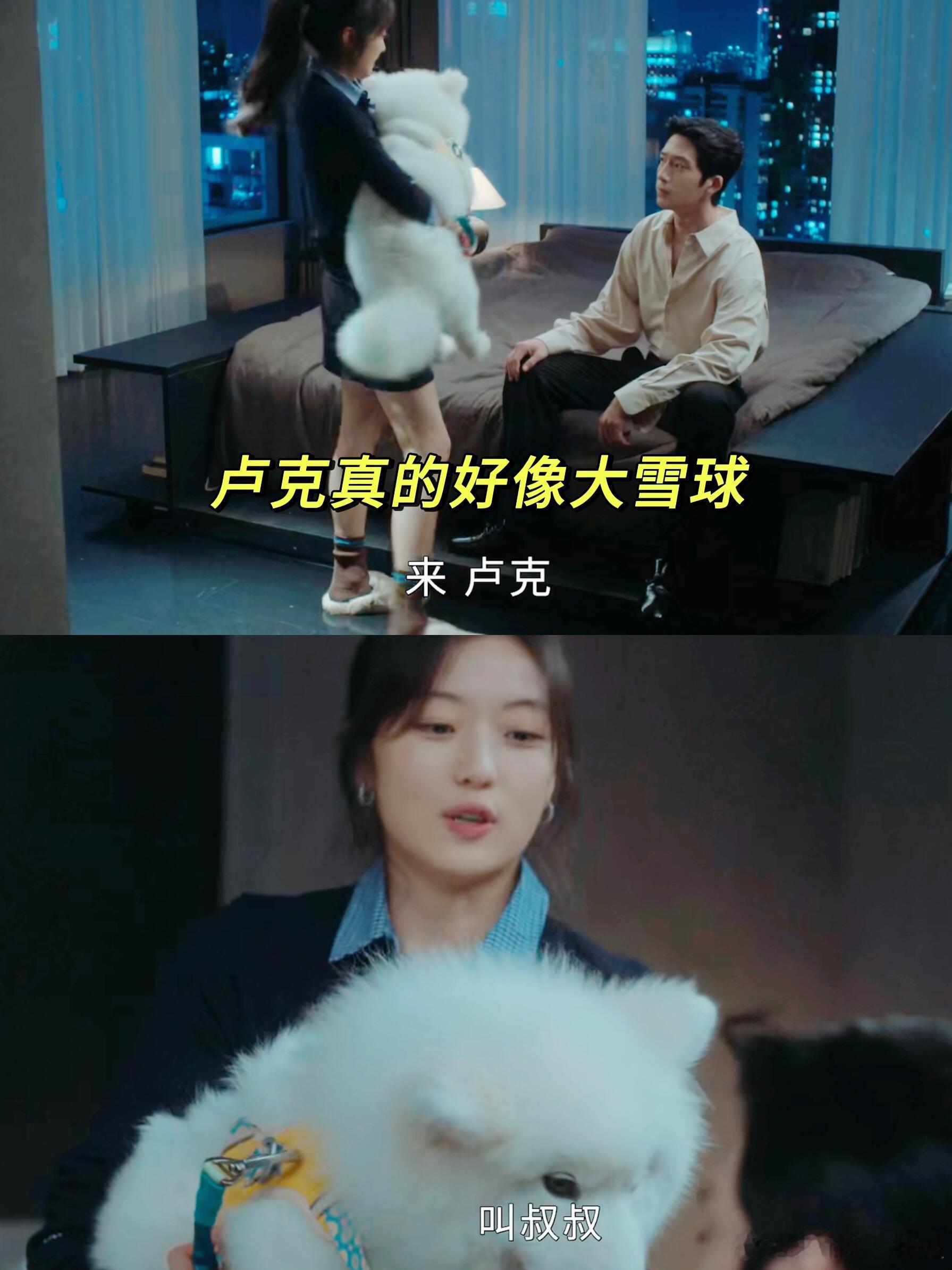 卢克叫栾念叔叔尚之桃姐姐 栾念内心OS大概是我辛辛苦苦养的狗居然背叛我，被卢克叫