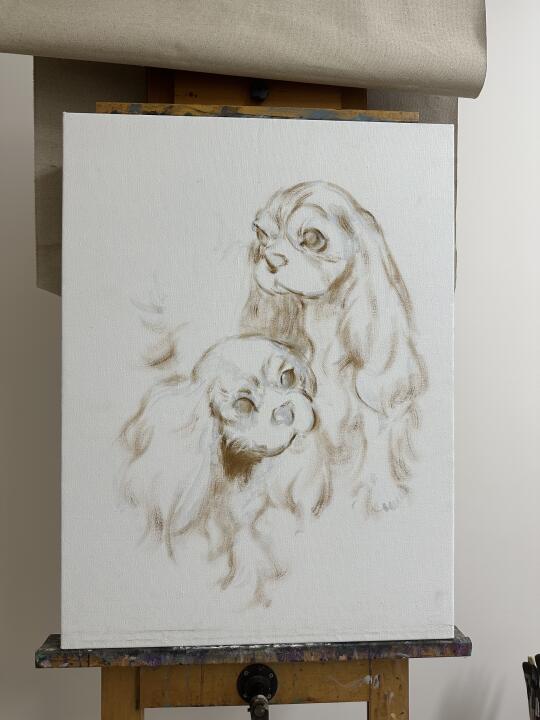 有点期待🥰