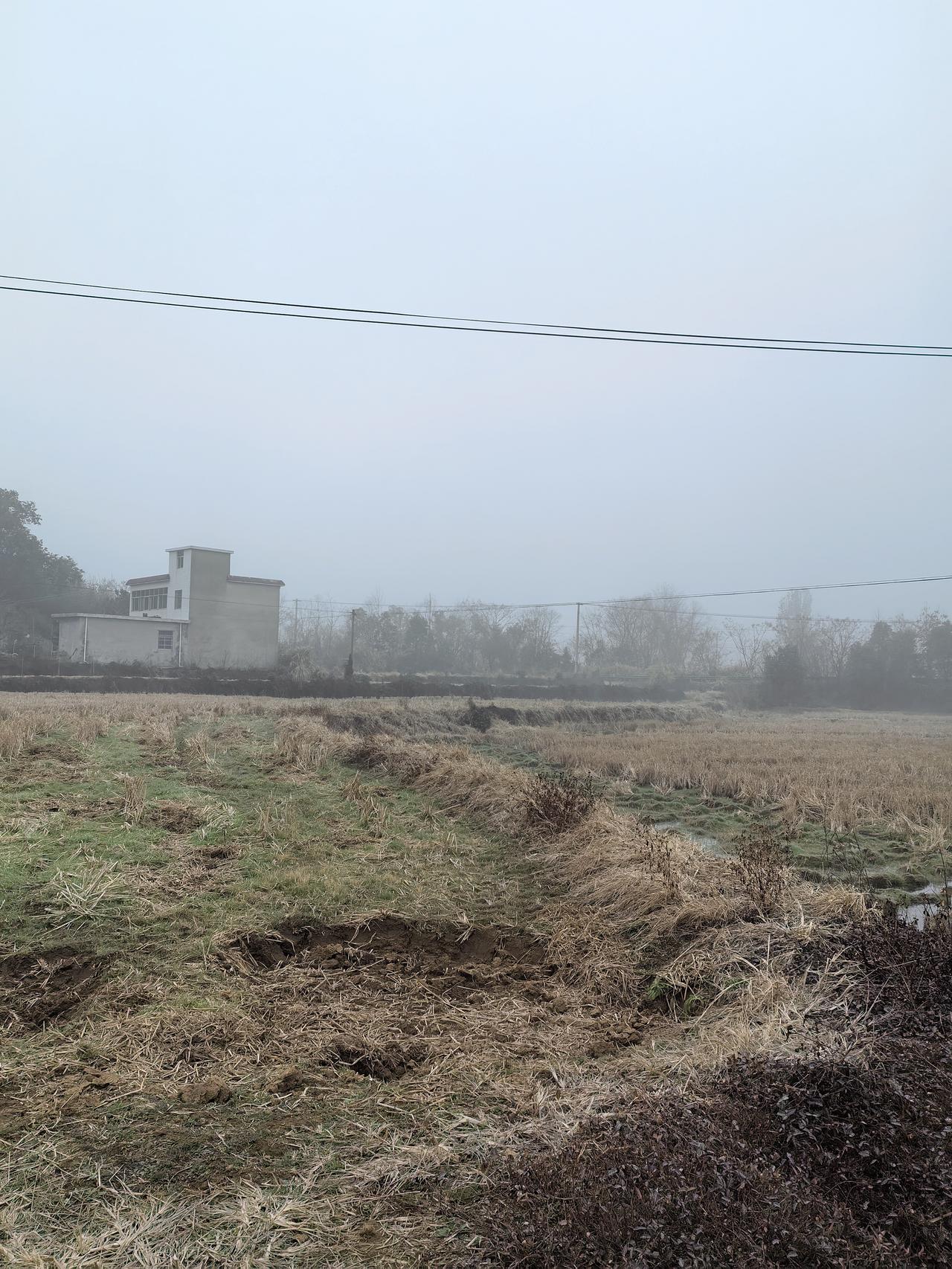 不争,是一种什么境界? 在如今快节奏的社会，“不争”看似反常，实则是种高级境界。