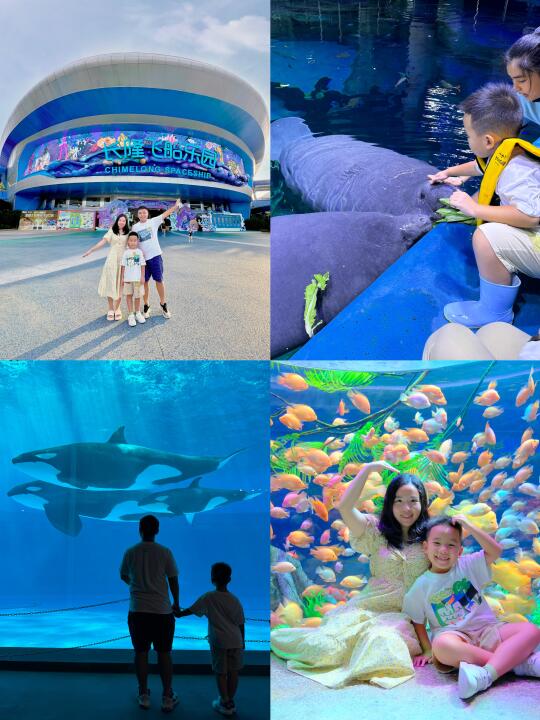 遛娃新思路：找座快乐大学，让海牛去卷娃‼️