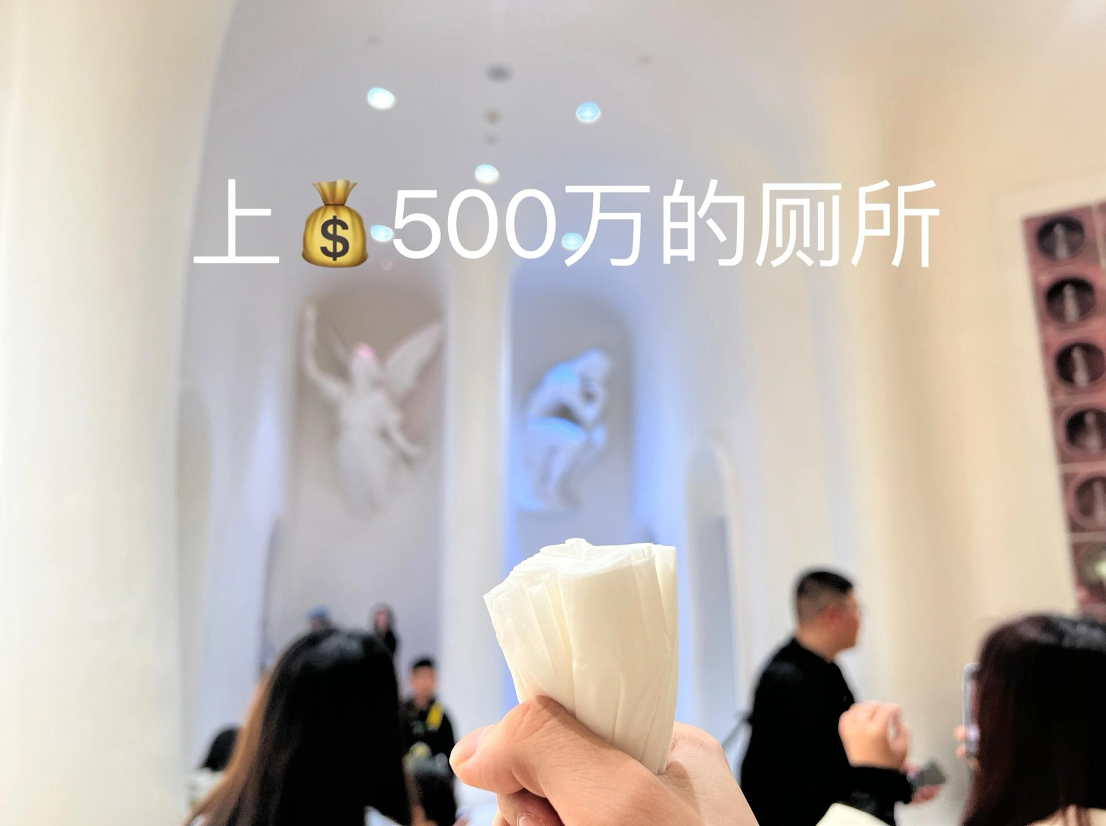 #这届年轻人出游时能有多癫#本土狗来南京只为四件事！打卡豪华厕所，500w、20