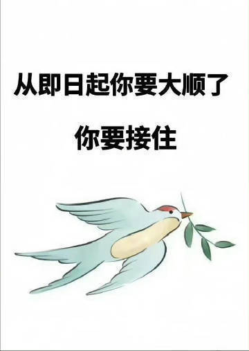 青鸟报喜，今日你就开始好运了，大顺三年，接…… ​​​