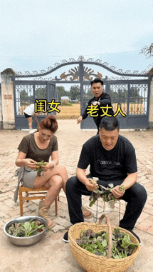 这样的氛围还是挺好玩的。