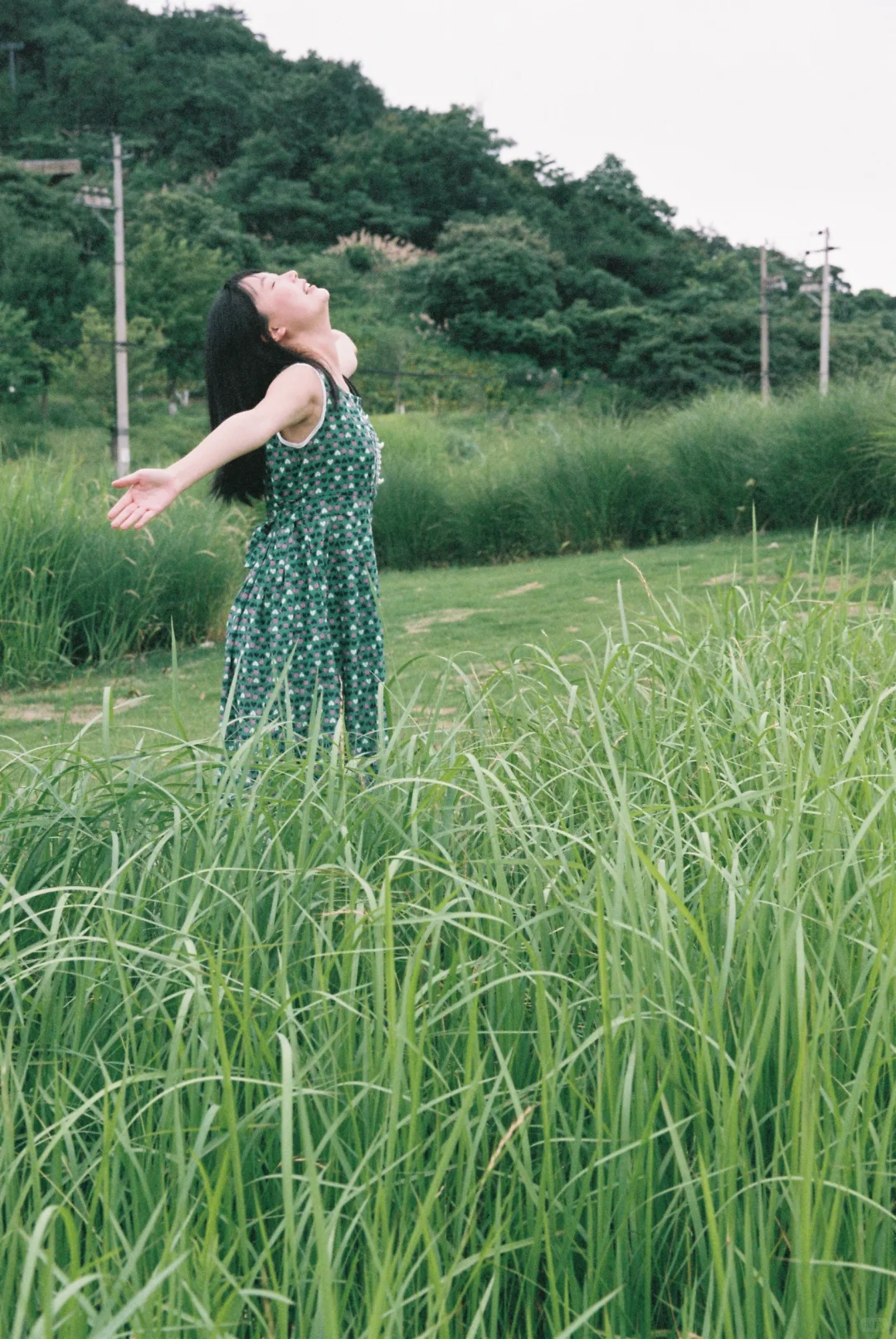 对精致的照片审美疲劳