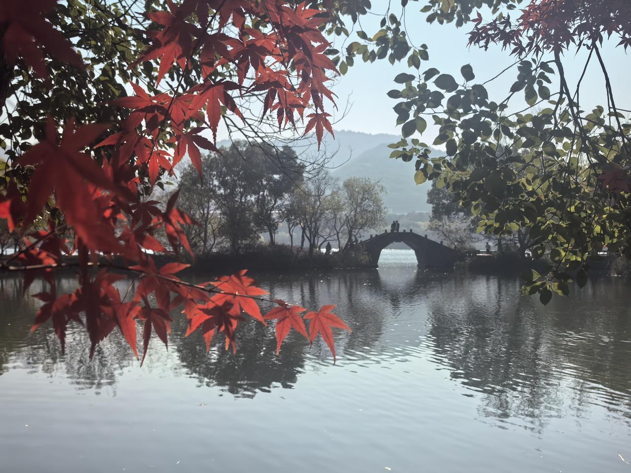七律·湘湖枫景
枫锦妆成溢彩图，
波光焕映色尤殊。
丹峦叠翠迷归鸟，
红浪摇天醉
