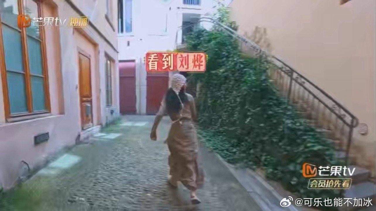 #周雨彤帮刘烨打掩护#哈哈，周雨彤真是“义气”满满！身处险境，自己都难保，还惦记