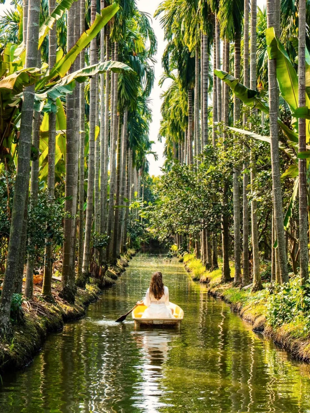 泰国水上丛林咖啡店🚣‍♀️在热带雨林中划船