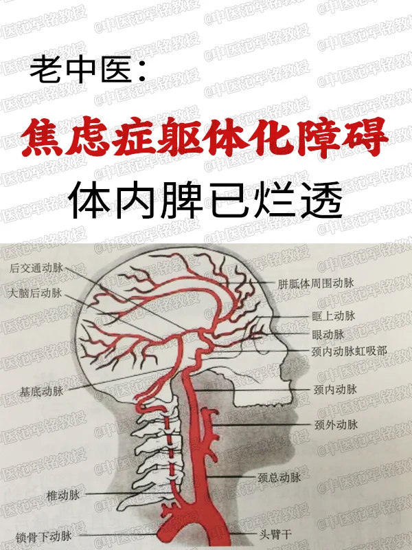 老中翳：焦虑症躯体化障碍体内脾已烂透，不过是纸老虎，让胃气下行就好了！...