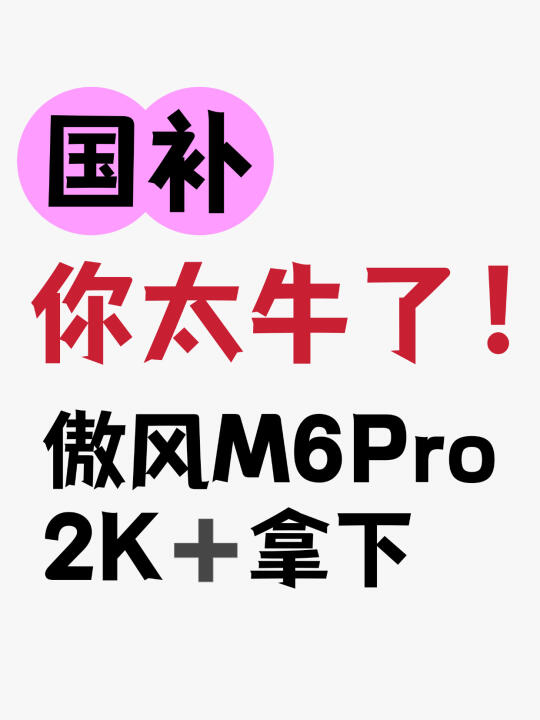 傲风 M6Pro 国补安全下车