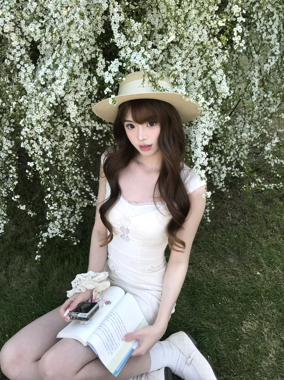 树下 我是我的春天🌱