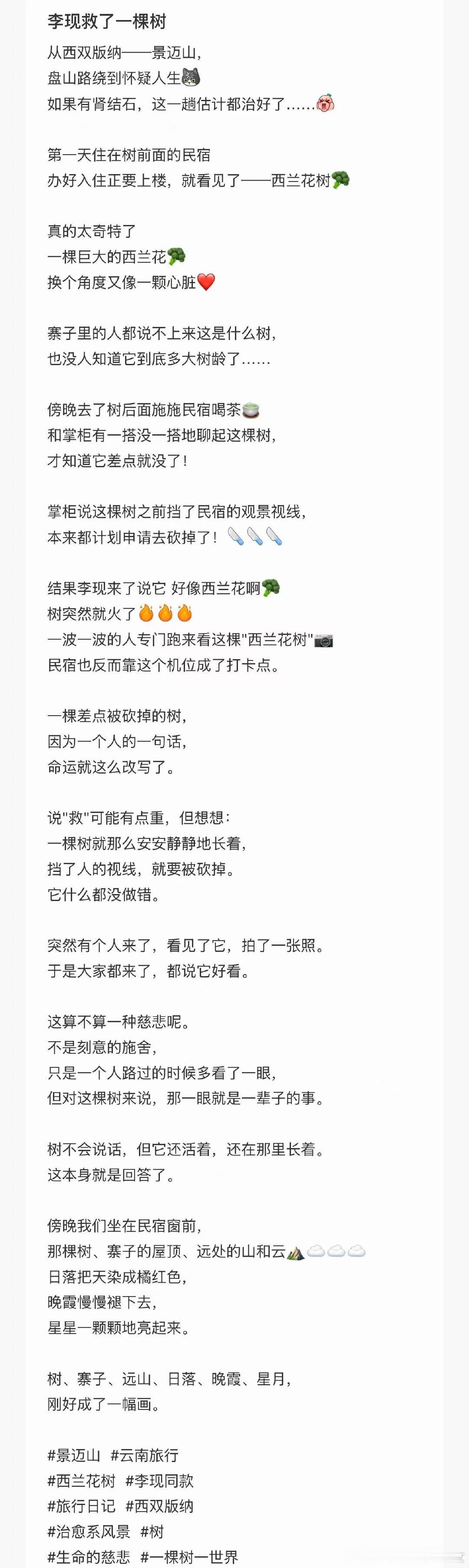 李现救了一棵树李现救了一棵树！ ​​​
