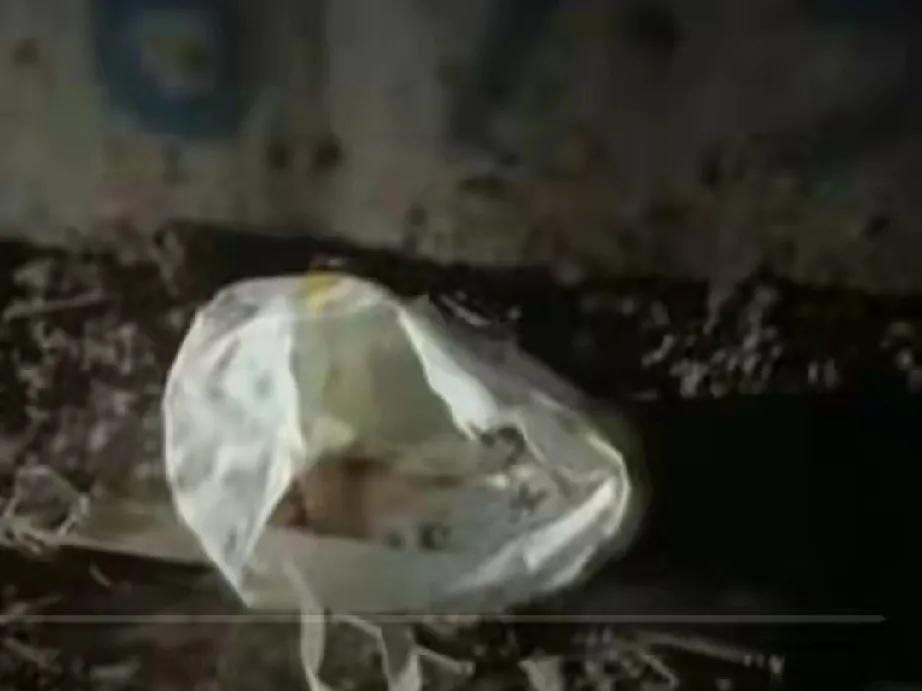 海口涵洞男婴事件：生命的谜团与社会的责任

近日，一则令人揪心的消息在海口传开。