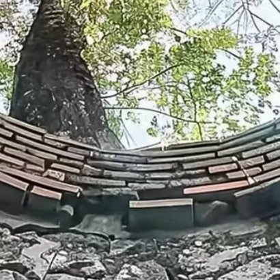 000000人生没有“必须走的路”，只有“不敢走的路”。你困在眼前的重复里焦虑，