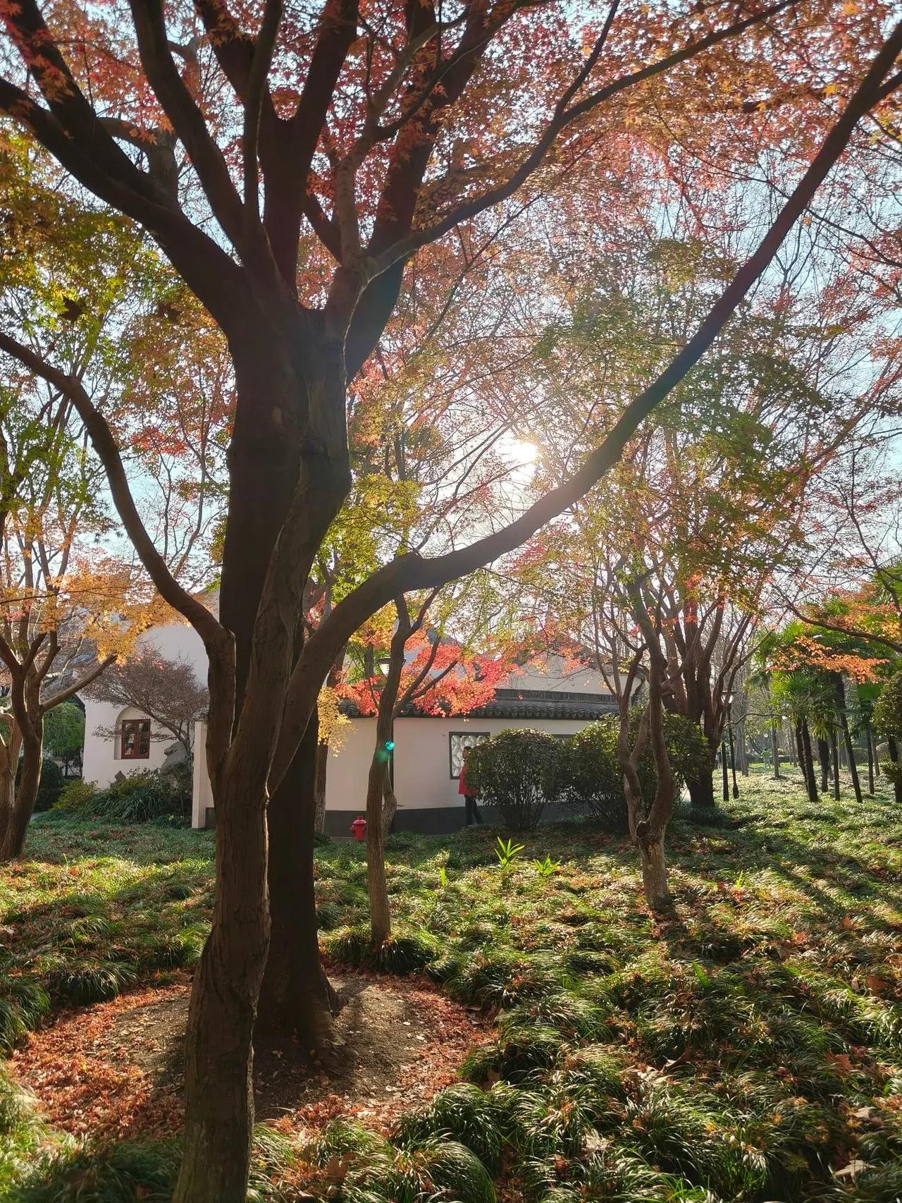 大自然美景 园林景观