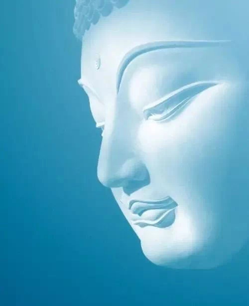 人生的必修课是理解无常，人生的选修课是放下执著。当性命陷落的时候请记得，你务必跌