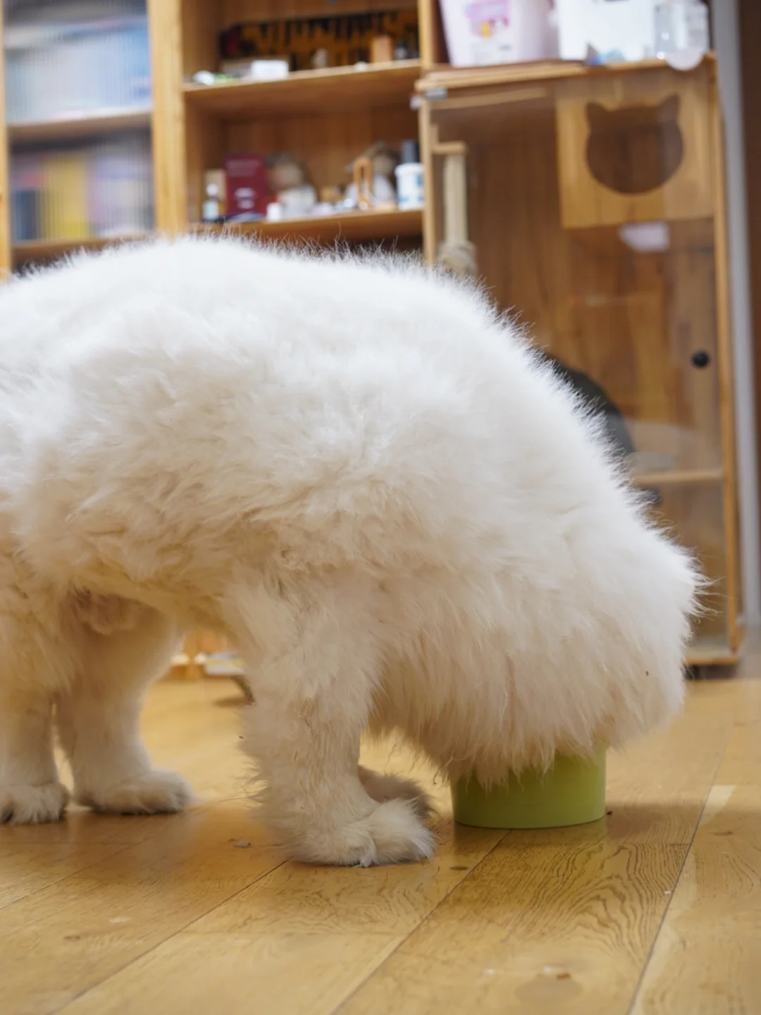 孩子的饭盆好像有点小