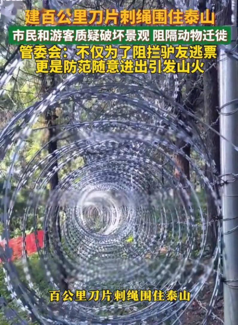 泰山景区火了，花数百万修建上百公里刀片刺绳隔离网，打的是防止驴友逃票和防范随意进