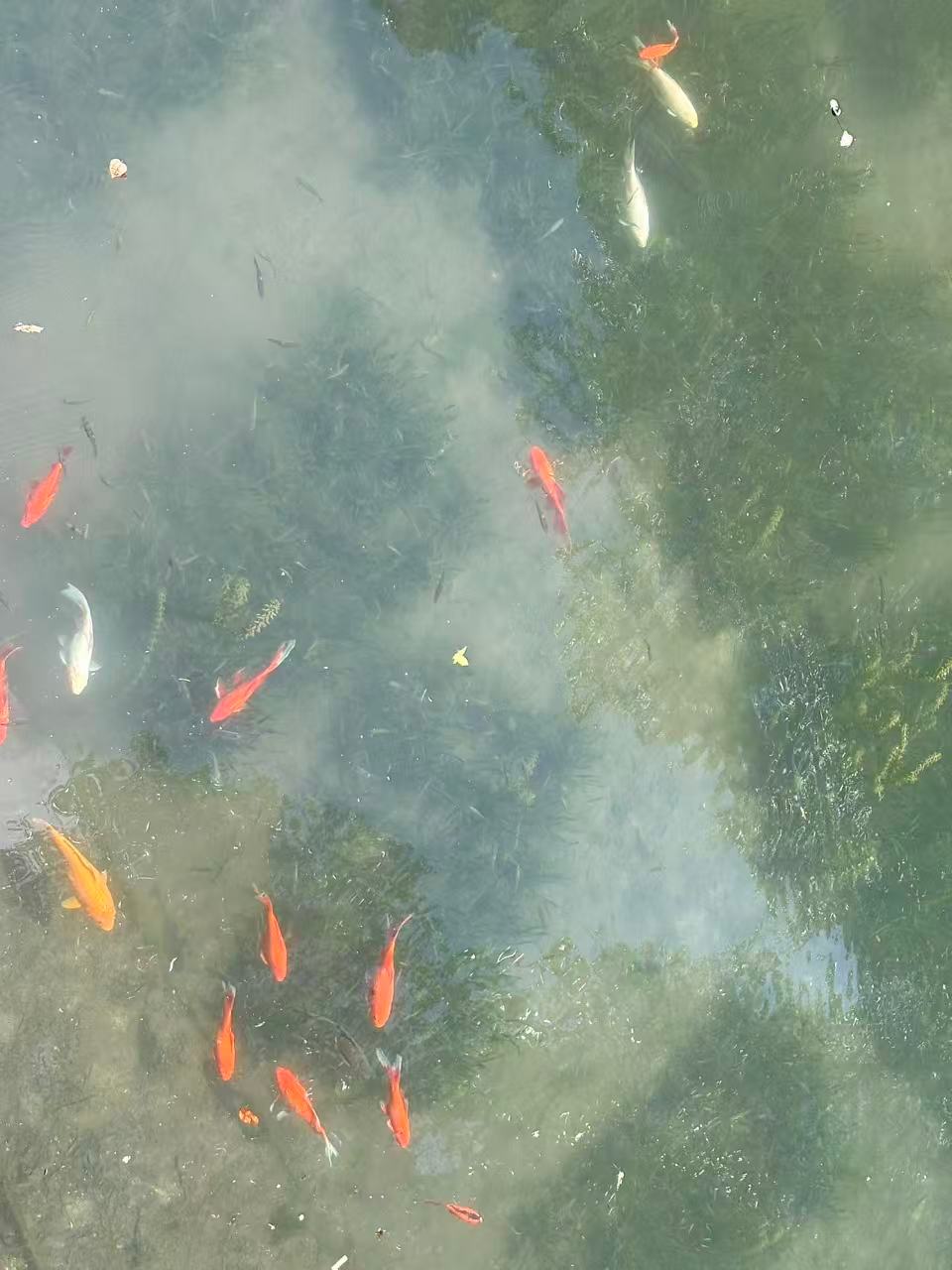 杭州·灵隐寺 