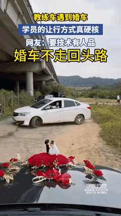 教练车偶遇婚车，
学员这波让行操作也太硬核了！[黑脸]