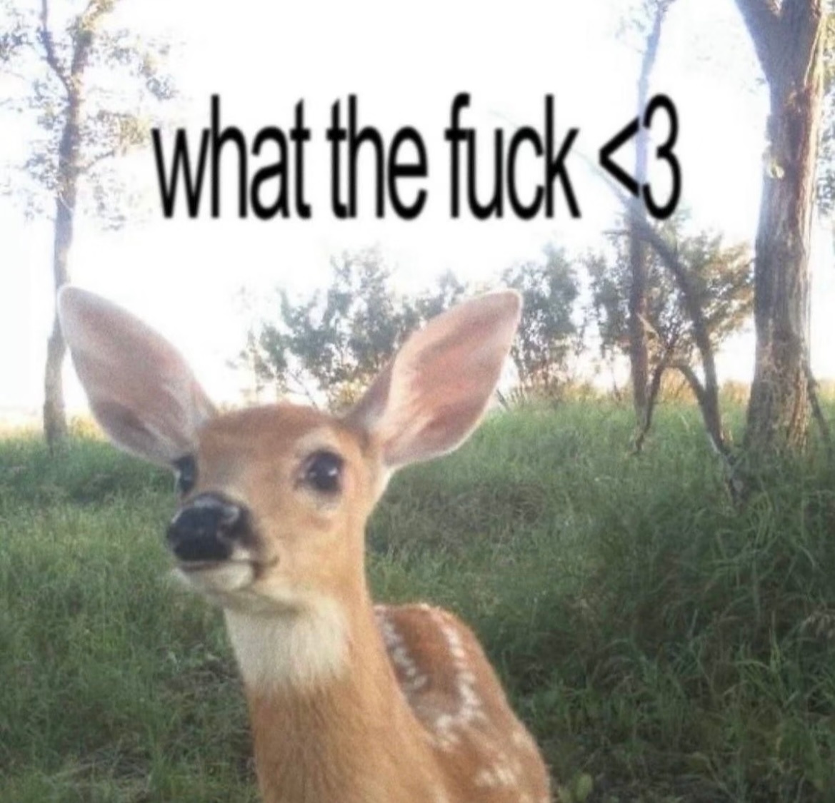 u_u 